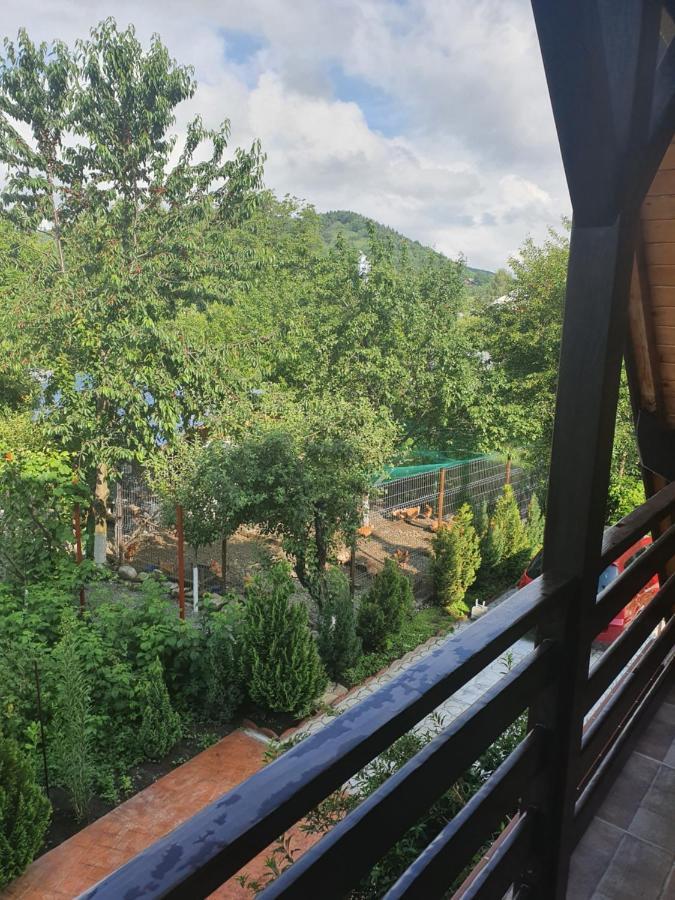 Casa Stefandra Hotel Breaza  Bagian luar foto