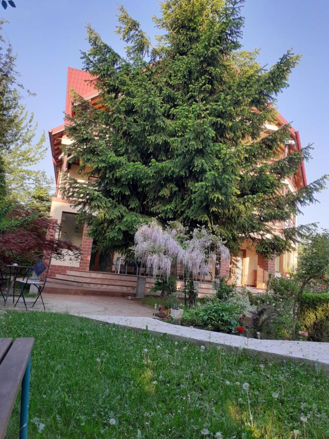 Casa Stefandra Hotel Breaza  Bagian luar foto