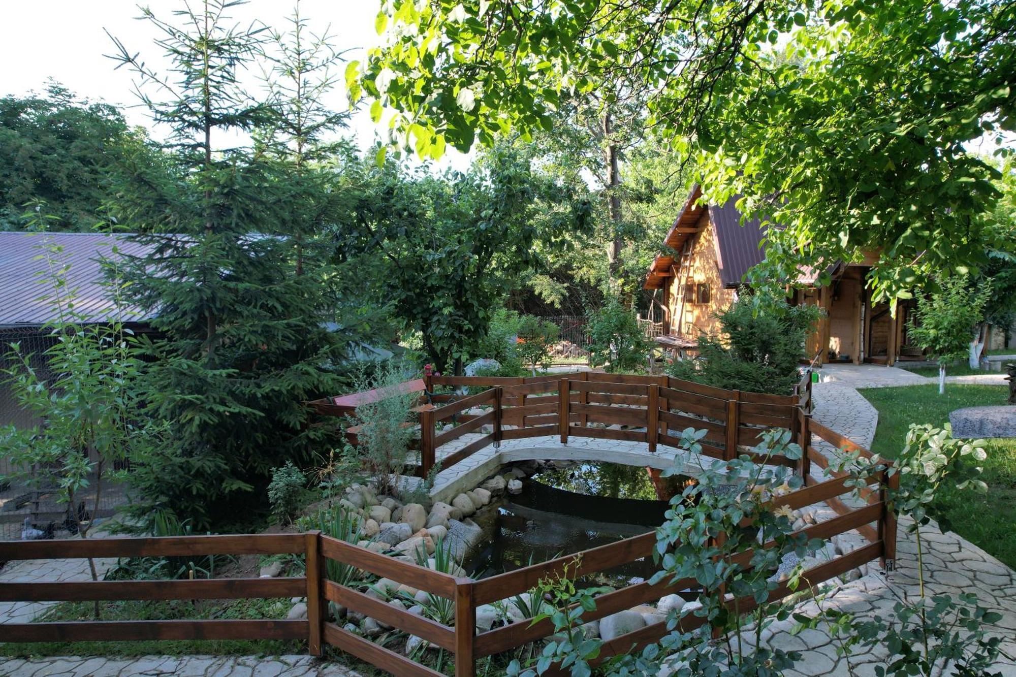 Casa Stefandra Hotel Breaza  Bagian luar foto