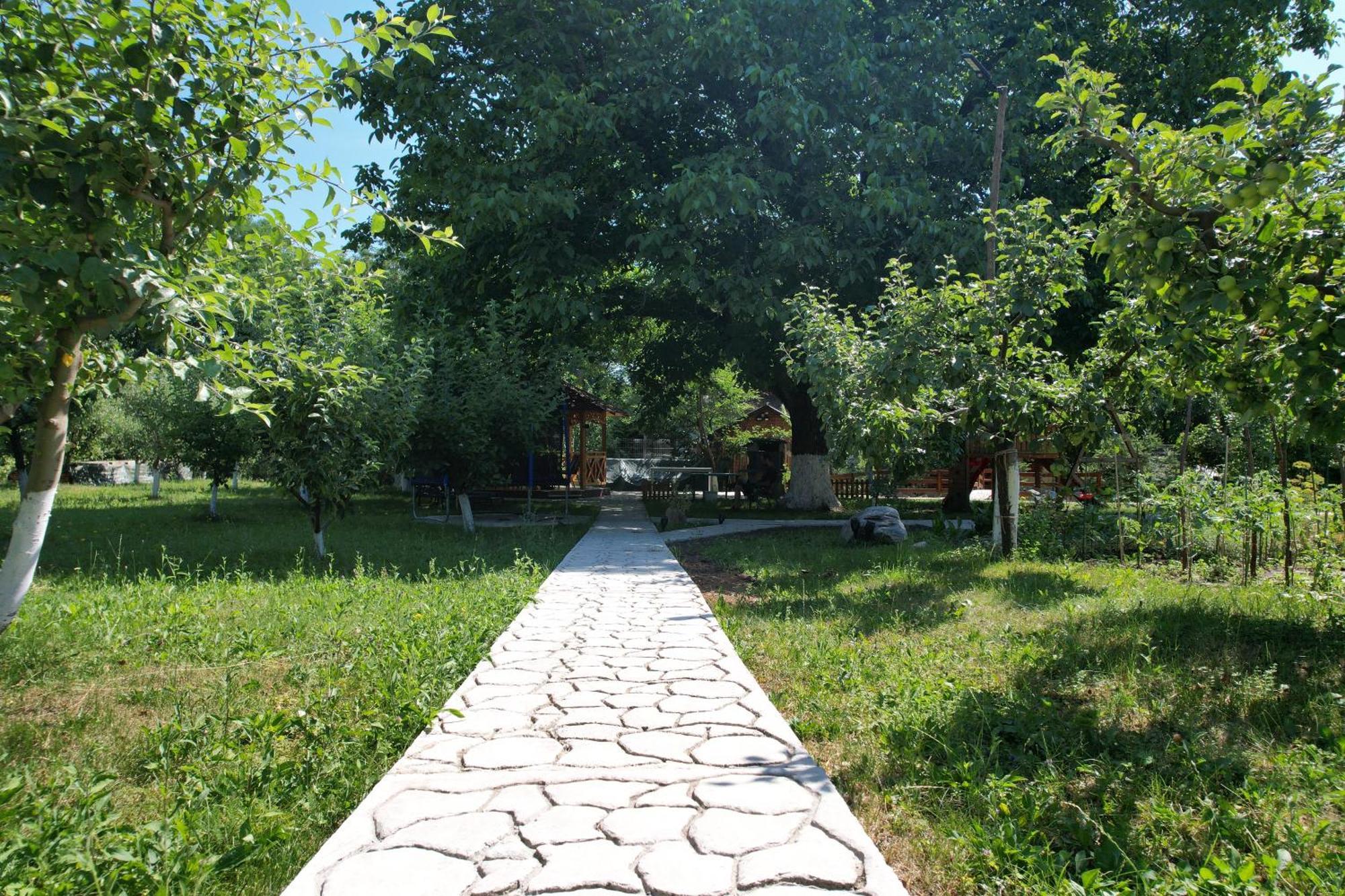 Casa Stefandra Hotel Breaza  Bagian luar foto